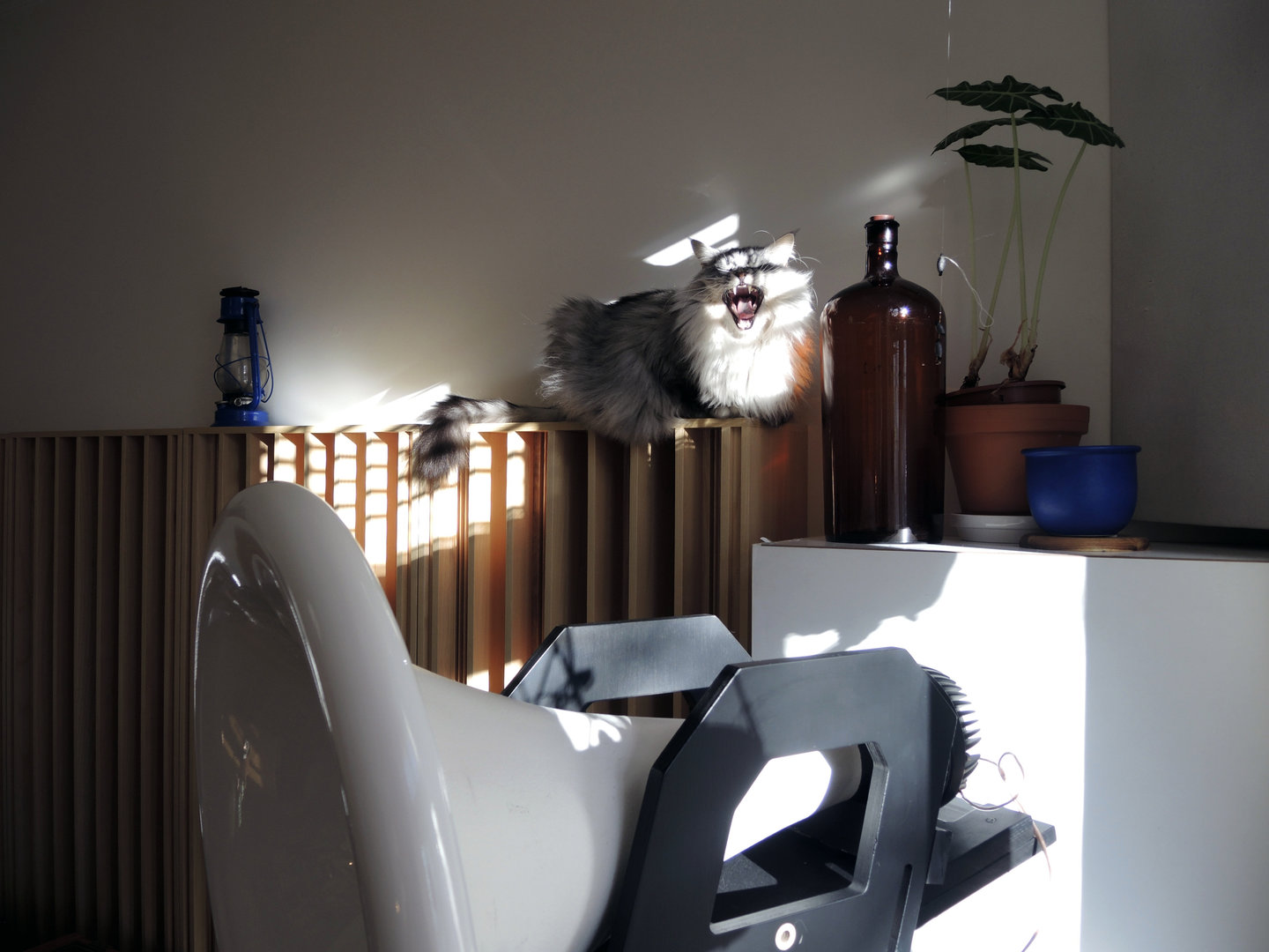 DSCN6937.JPG