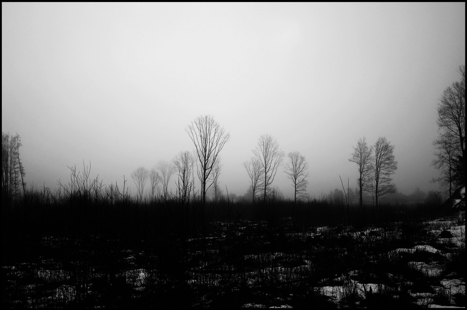E8CF5FD4-6E24-40EC-B951-B99EFB295333.jpeg