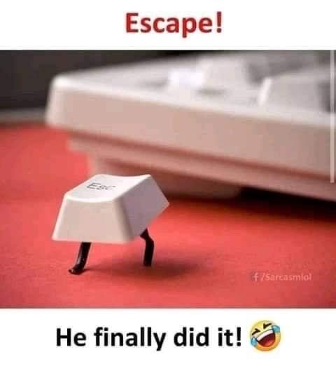 Escape.jpg