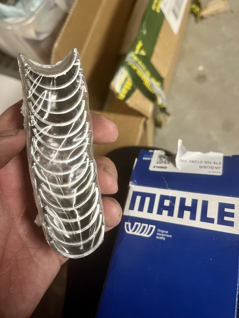 F45278BF-5FE6-4ECF-9216-2A1989F72287.jpeg