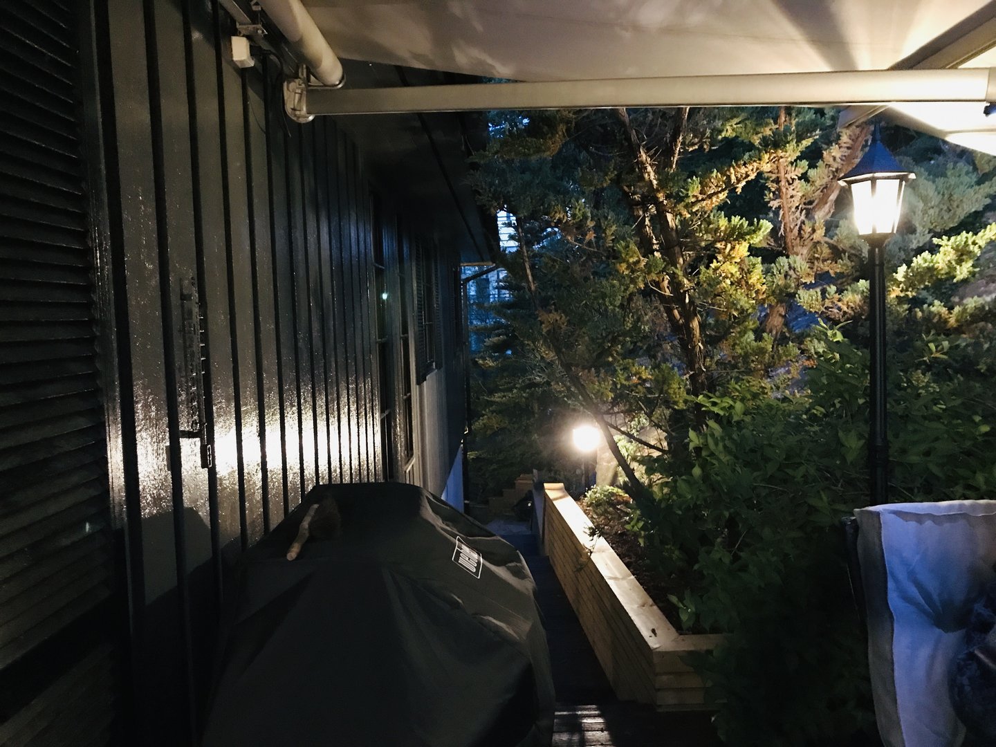 F833ECBA-81AF-43C9-B6B5-CA4155387FF9.jpeg
