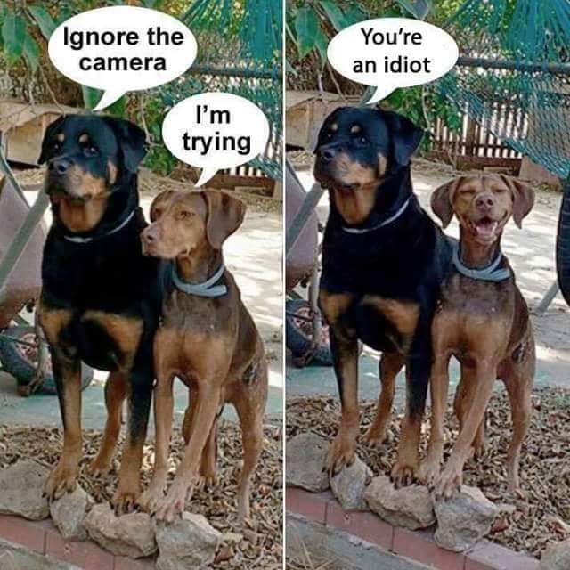 .facebook_1465980114898.jpg
