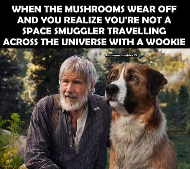 FB_IMG_1575062725607.jpg
