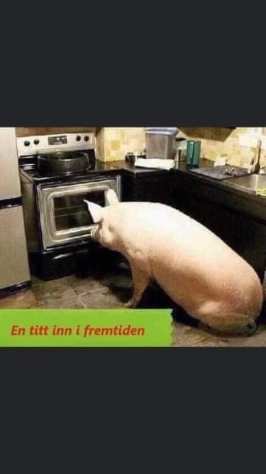 FB_IMG_1638211930907.jpg