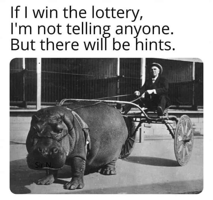 FB_IMG_1650648755196.jpg