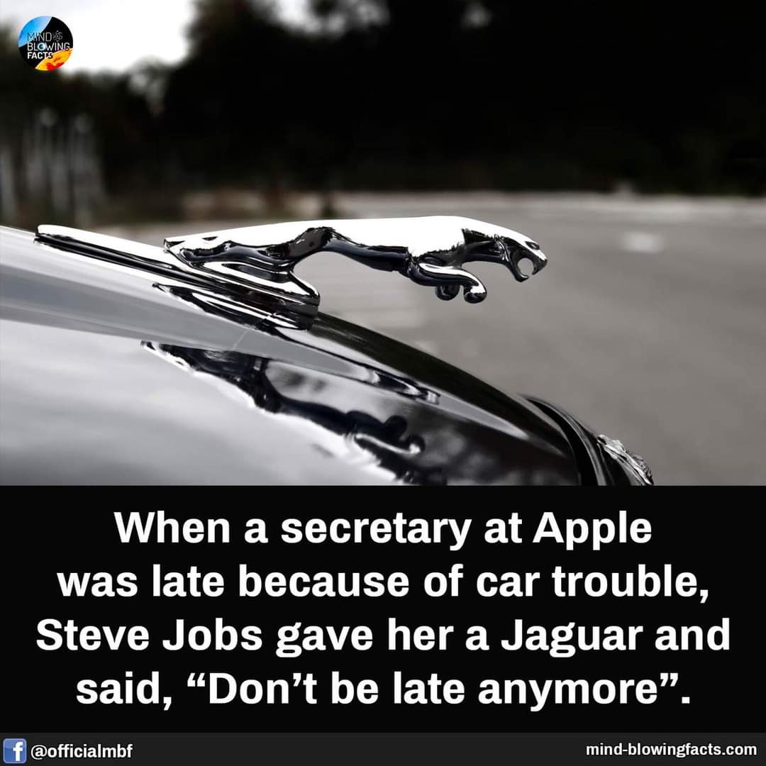 FB_IMG_1651055935257.jpg