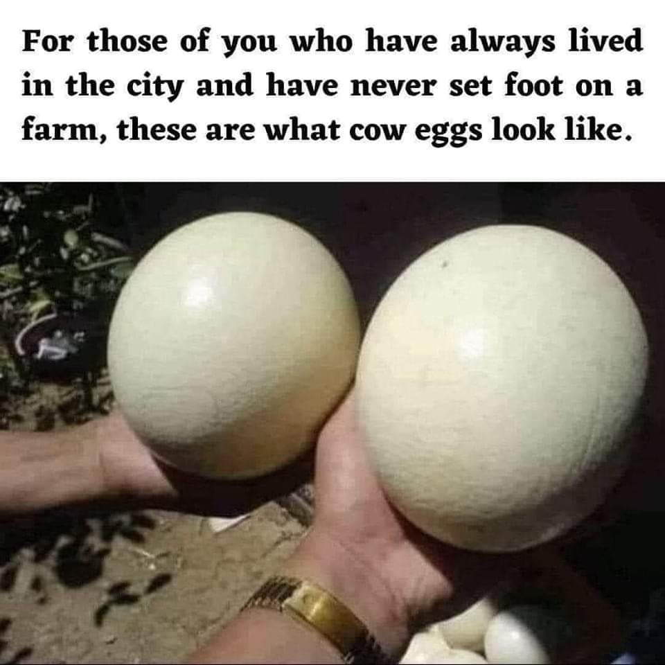 FB_IMG_1653651871146.jpg