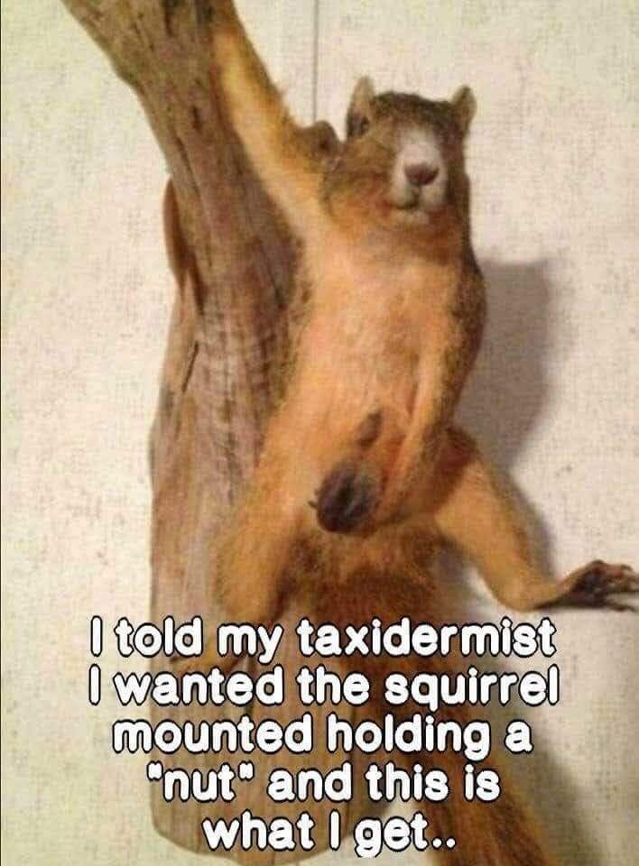 FB_IMG_1656078137638.jpg