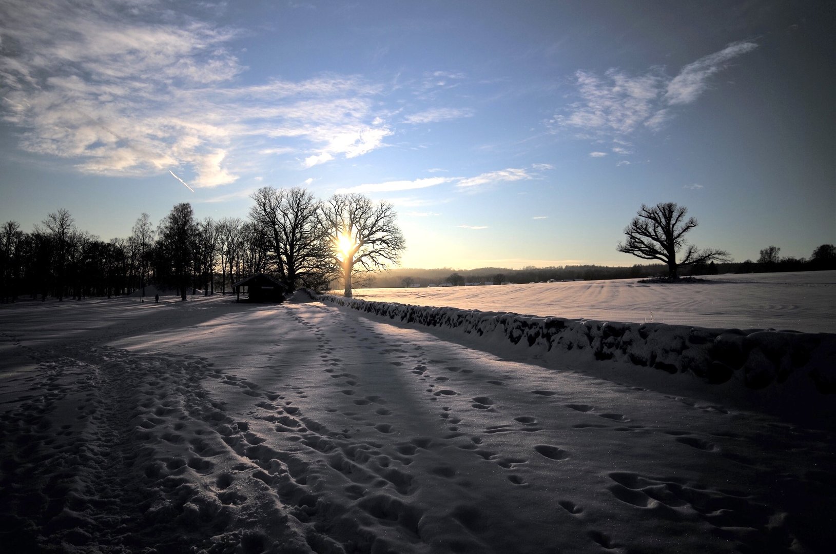 FC0BA3DF-8458-4558-84B7-2CA0EA8E45B2.jpeg