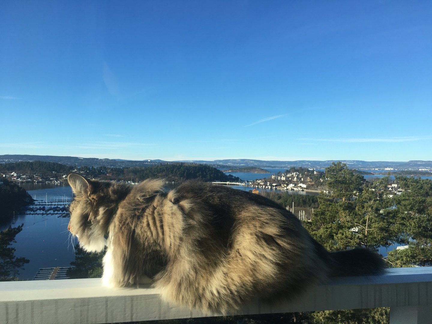 FD77D0B9-D8D0-4547-8CAF-00D90153F4A9.jpeg