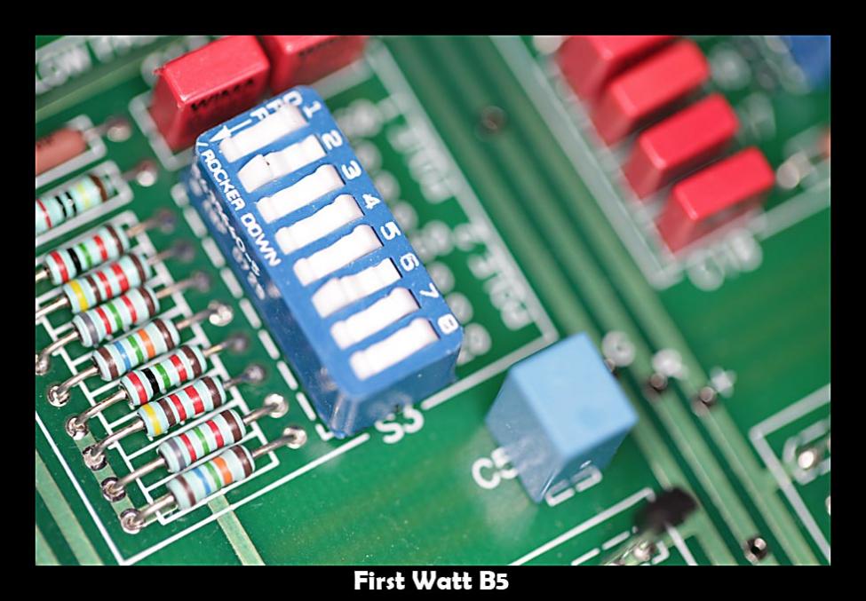first watt b5 closeup.jpg