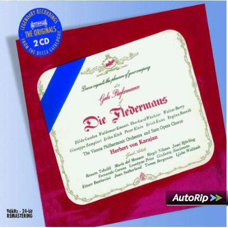 fledermaus3.jpg
