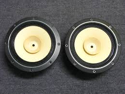 Fostex FE206ES-R.jpg