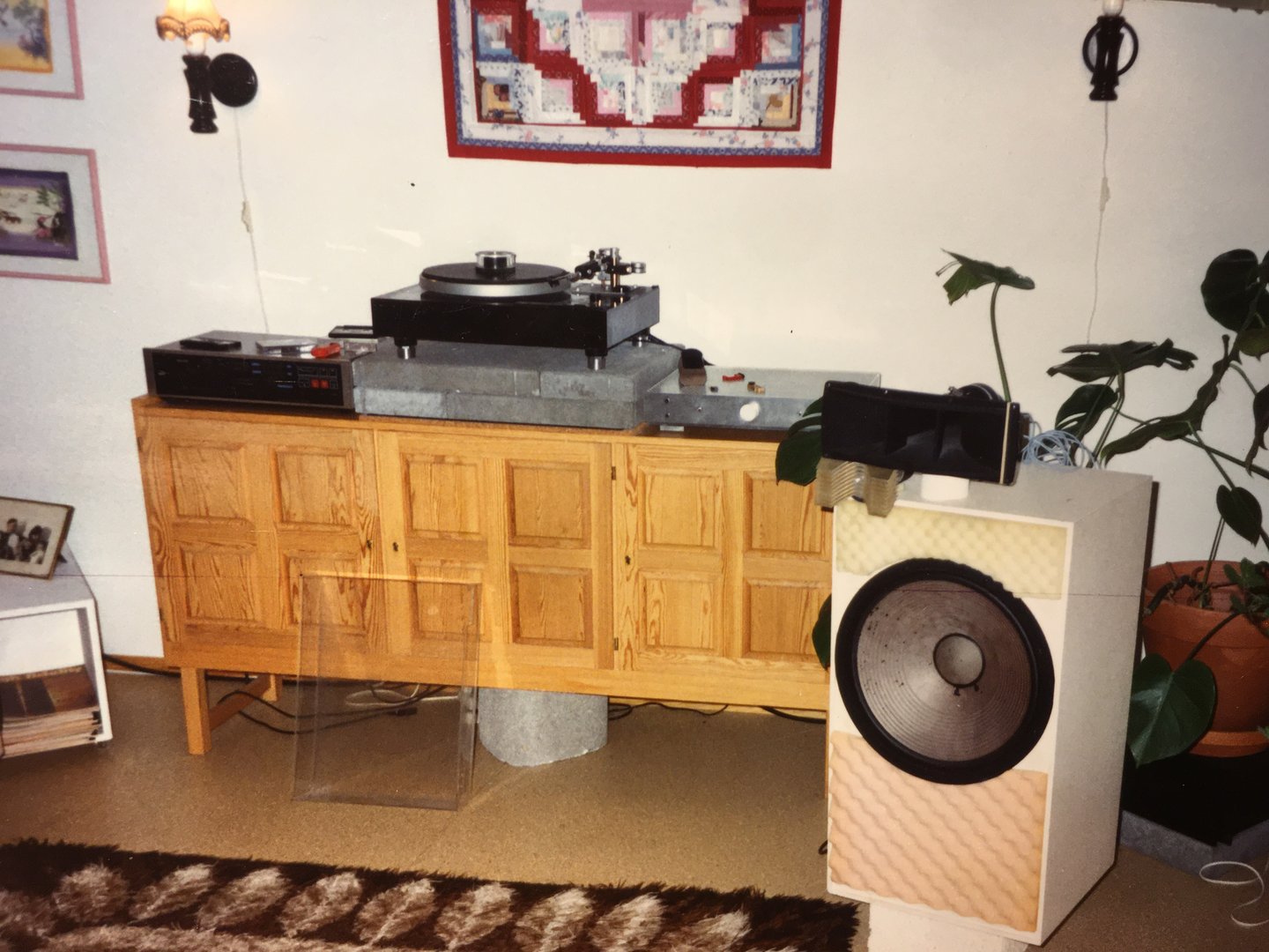 fostex  sk 100.JPG