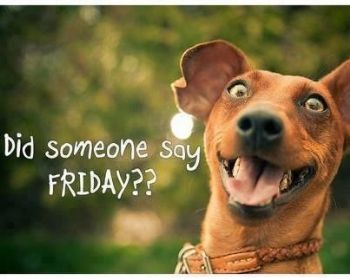 friday.jpg