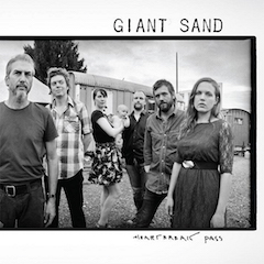 giantsand.jpg