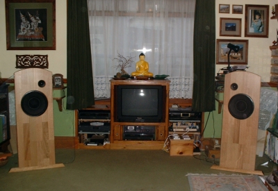gobinroom.jpg