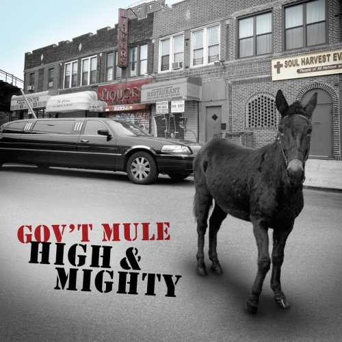 govt-mule-high-mighty.jpg