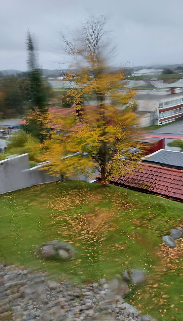 Haust.jpeg