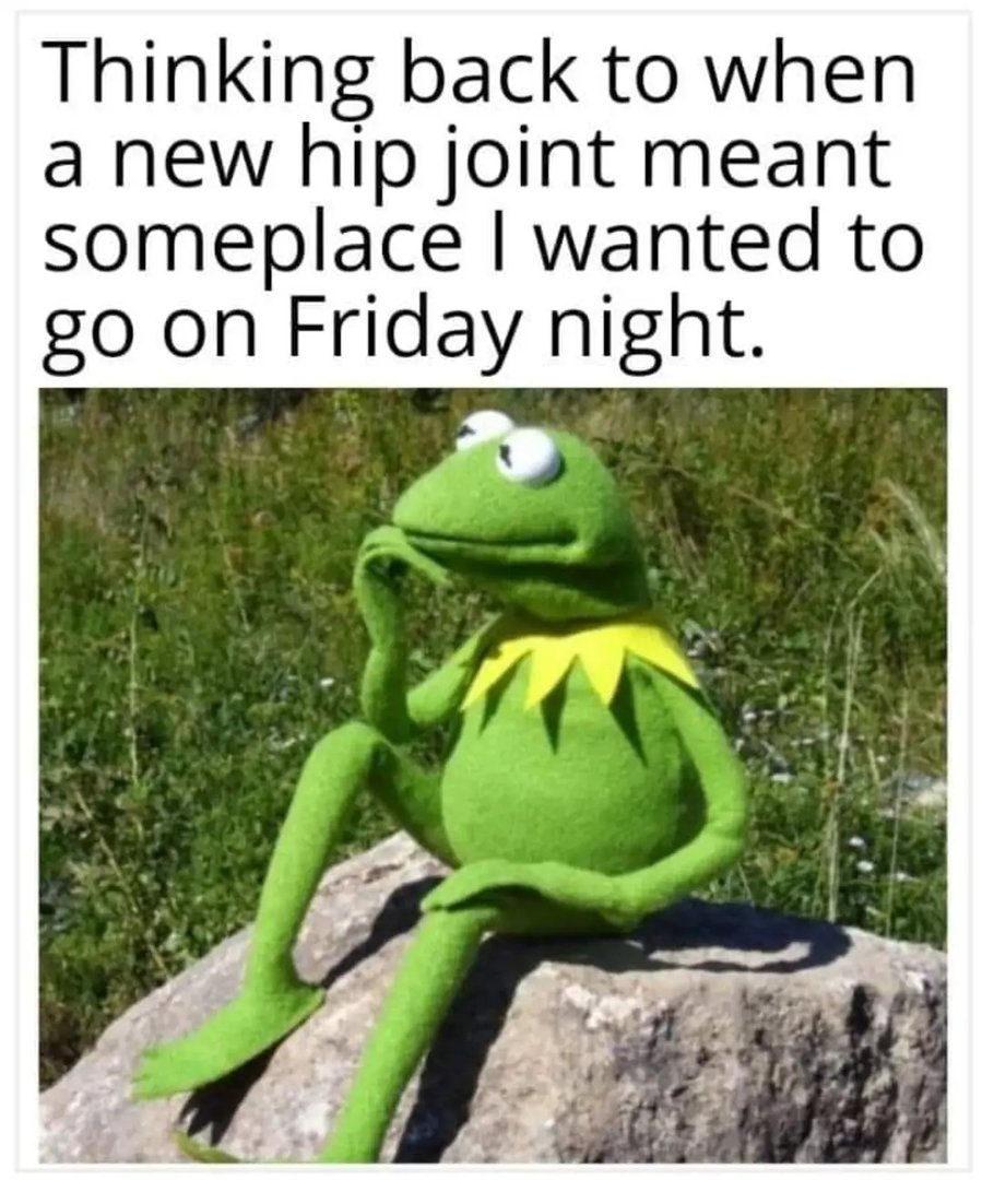 Hip joint.jpg