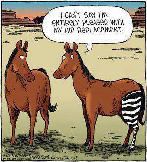 hip replacement.jpg