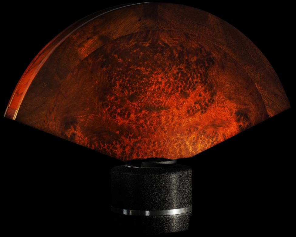 horn4.jpg