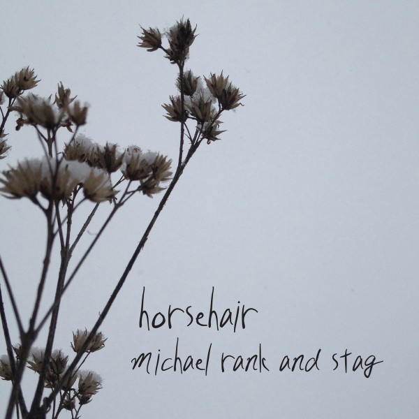 horsehair-e1439315296623.jpg