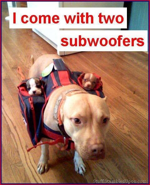 i-come-with-2-subwoofers.jpg