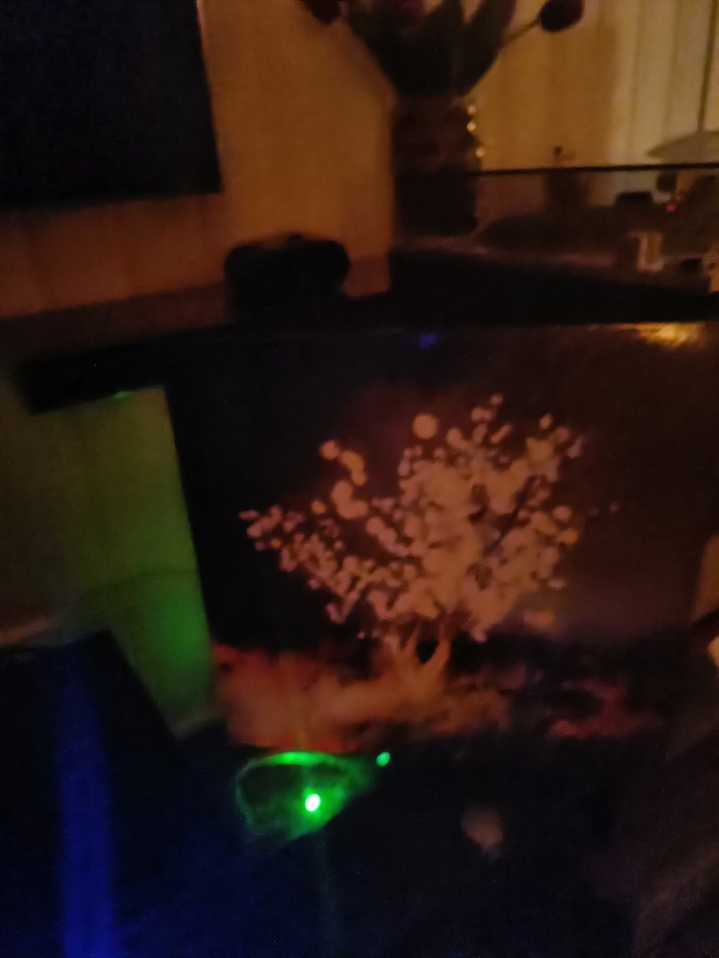 IMG20220825022003.jpg