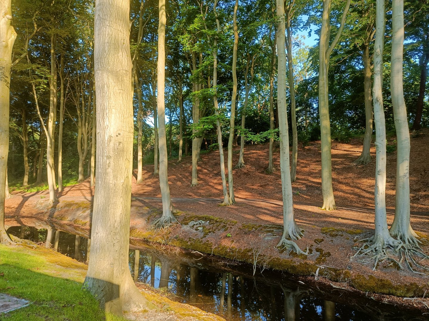 IMG20240623075833.jpg