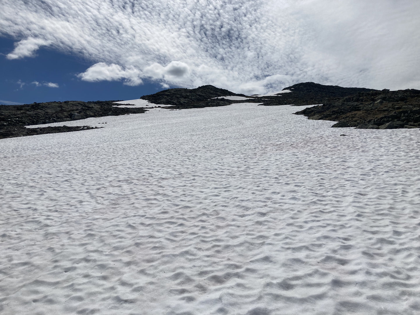 IMG_0195.jpeg