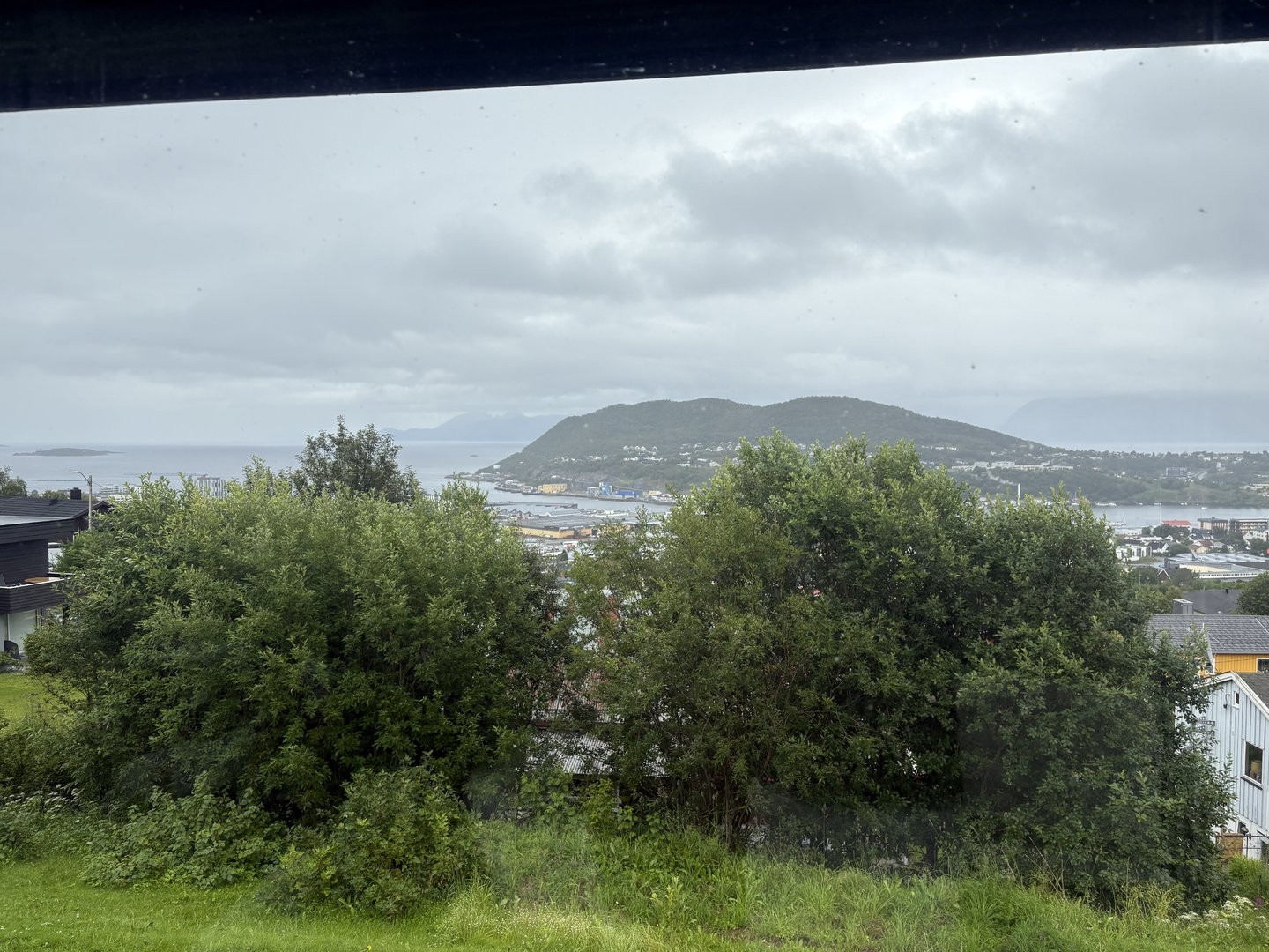 IMG_0560.jpeg