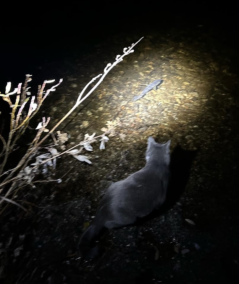 IMG_0669.jpeg