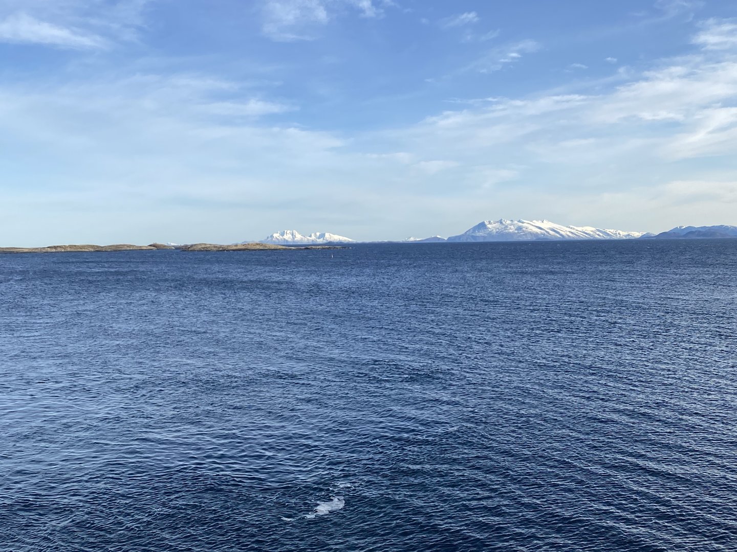 IMG_0700.jpeg