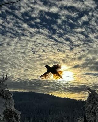 IMG_0878.jpeg