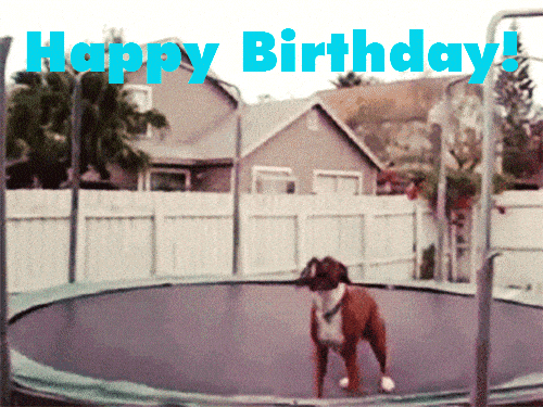 IMG_1449.gif