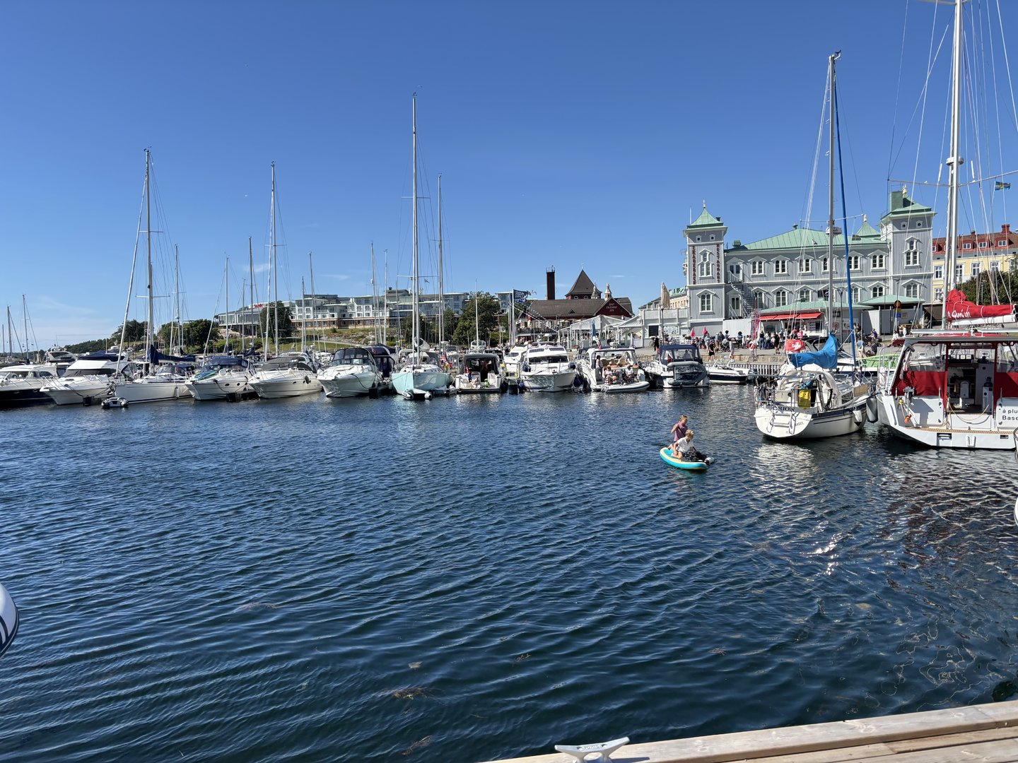 IMG_1981.jpeg