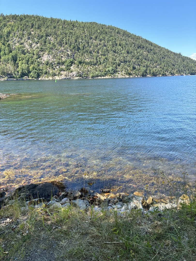 IMG_1993.jpeg