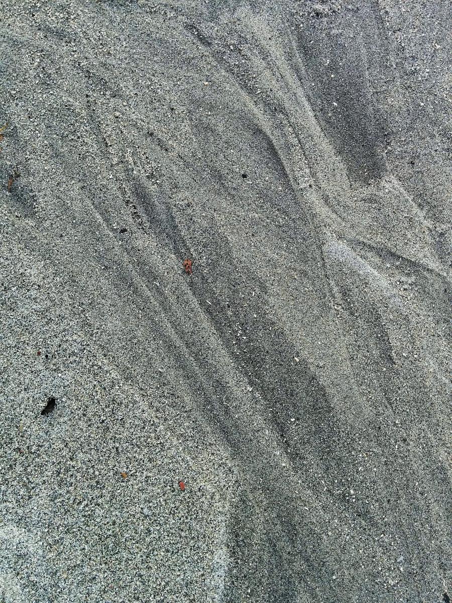 IMG_20151002_142232.jpg