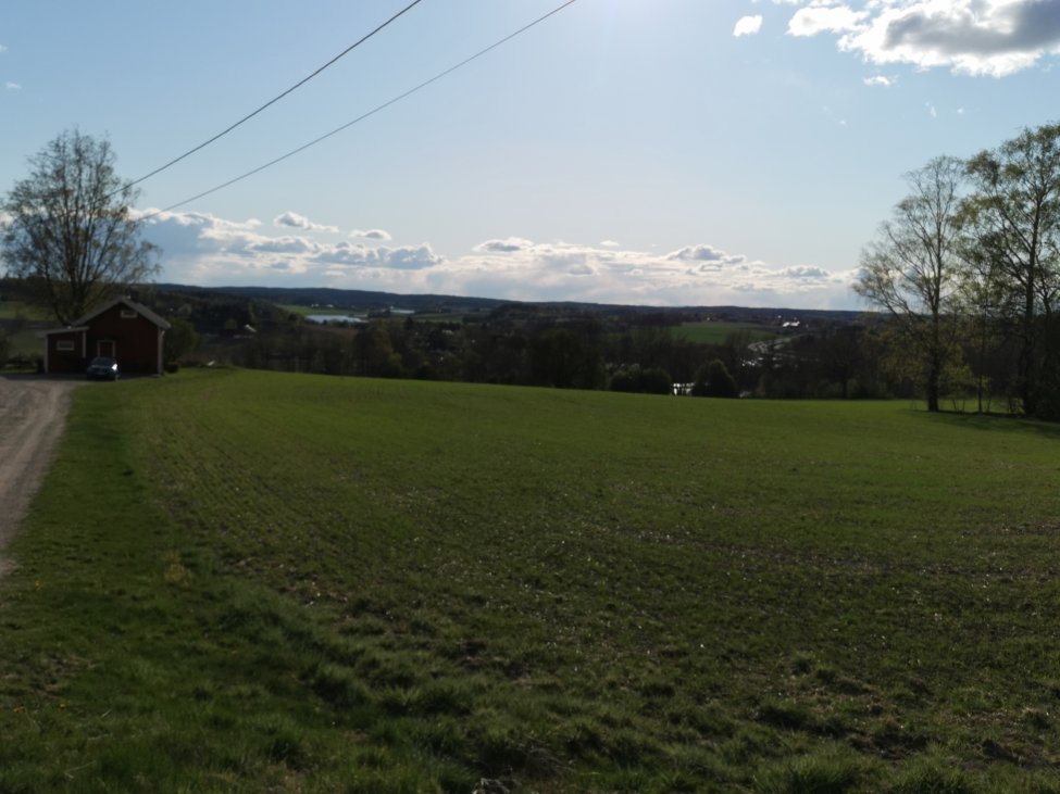IMG_20200504_181747.jpg