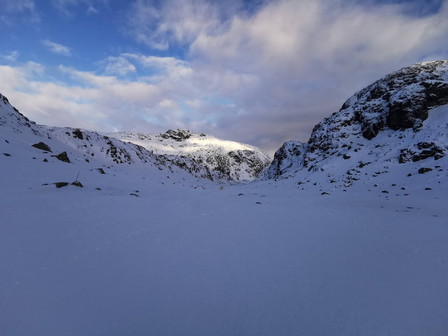 IMG_20201212_111950.jpg