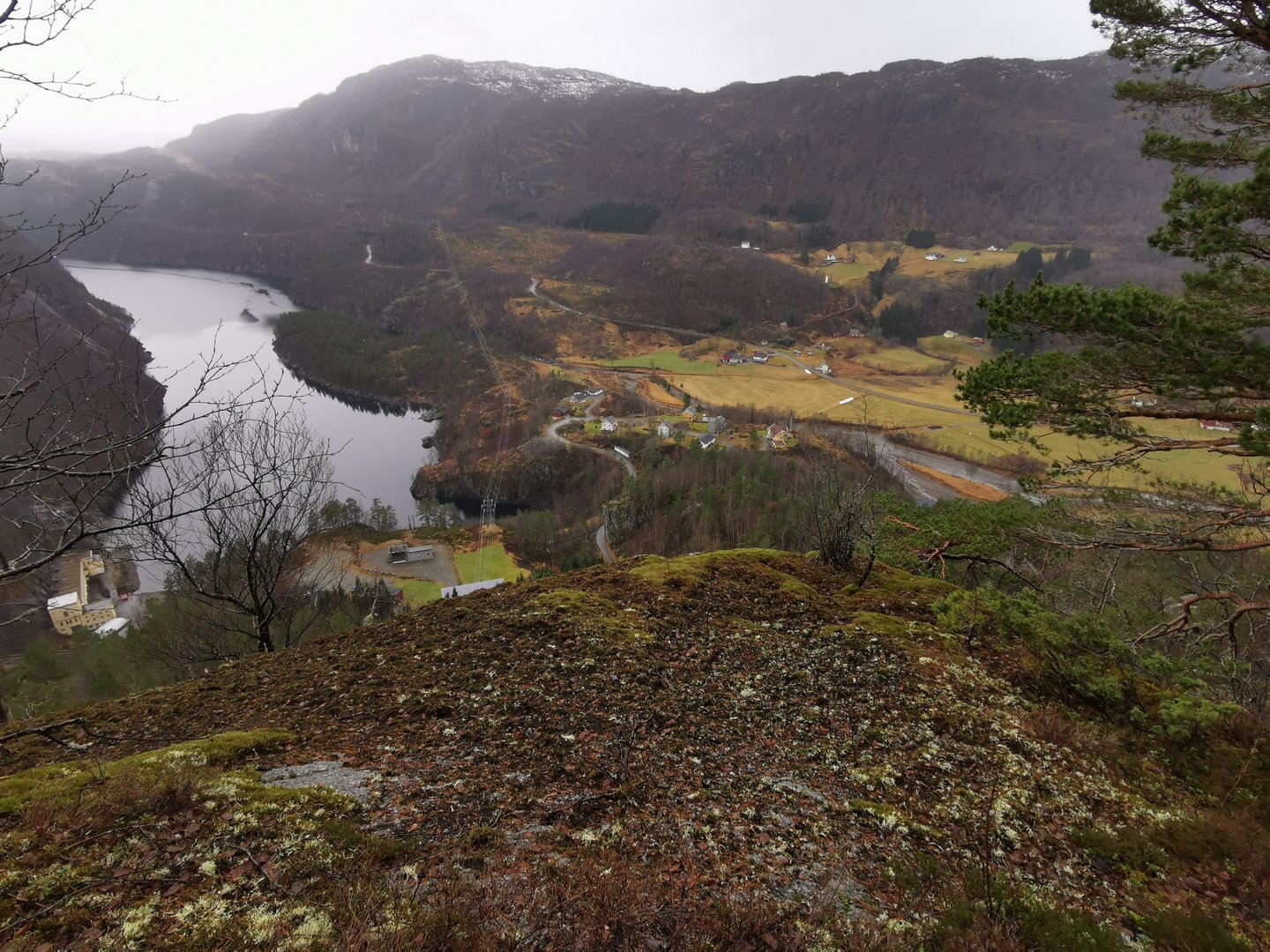 IMG_20201218_121755.jpg