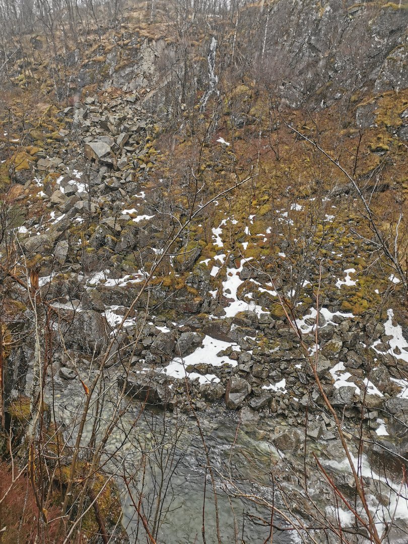 IMG_20210330_131051.jpg