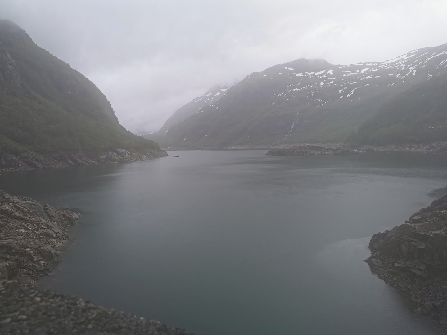 IMG_20220613_120432.jpg
