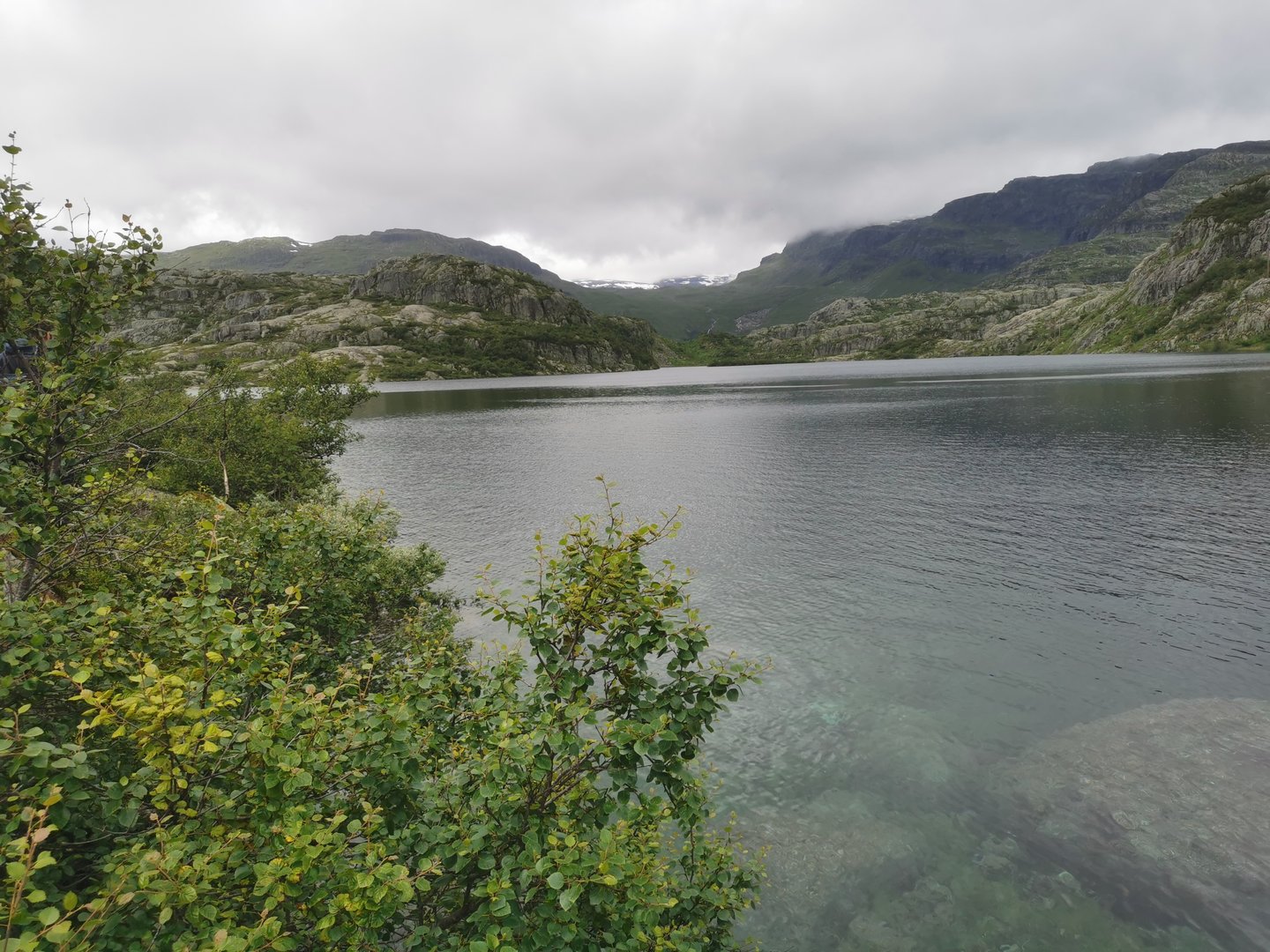 IMG_20220806_145656.jpg