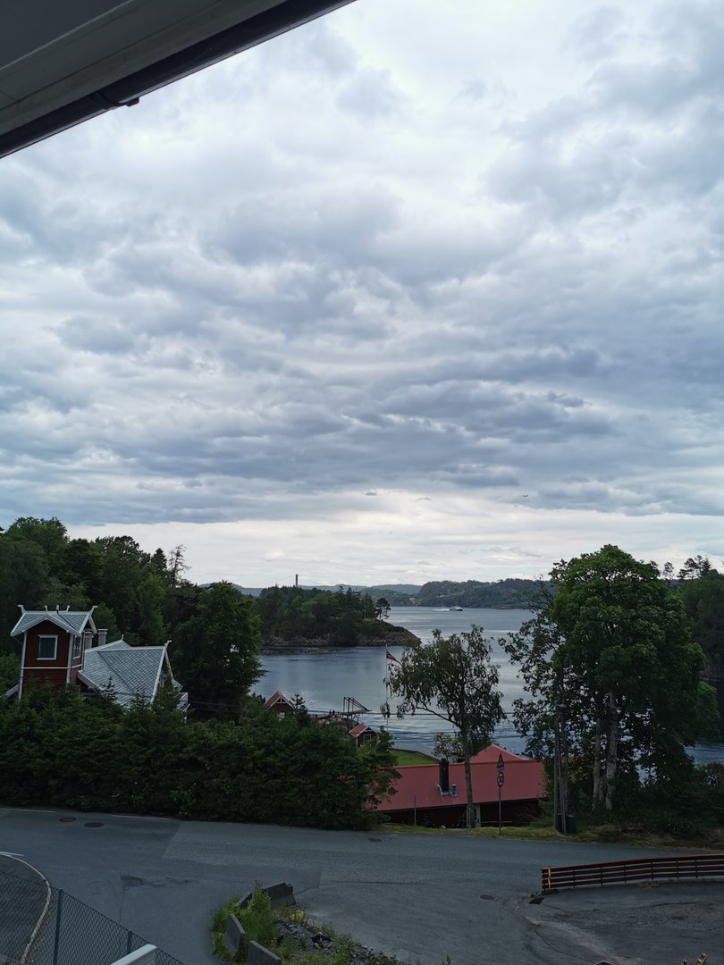 IMG_20230626_123025.jpg