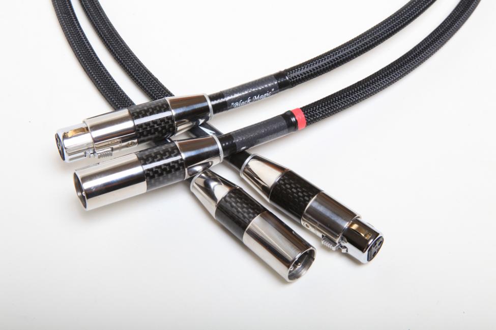 IMG_2037 REVELATION MKII  SE  XLR  1000-72.jpg