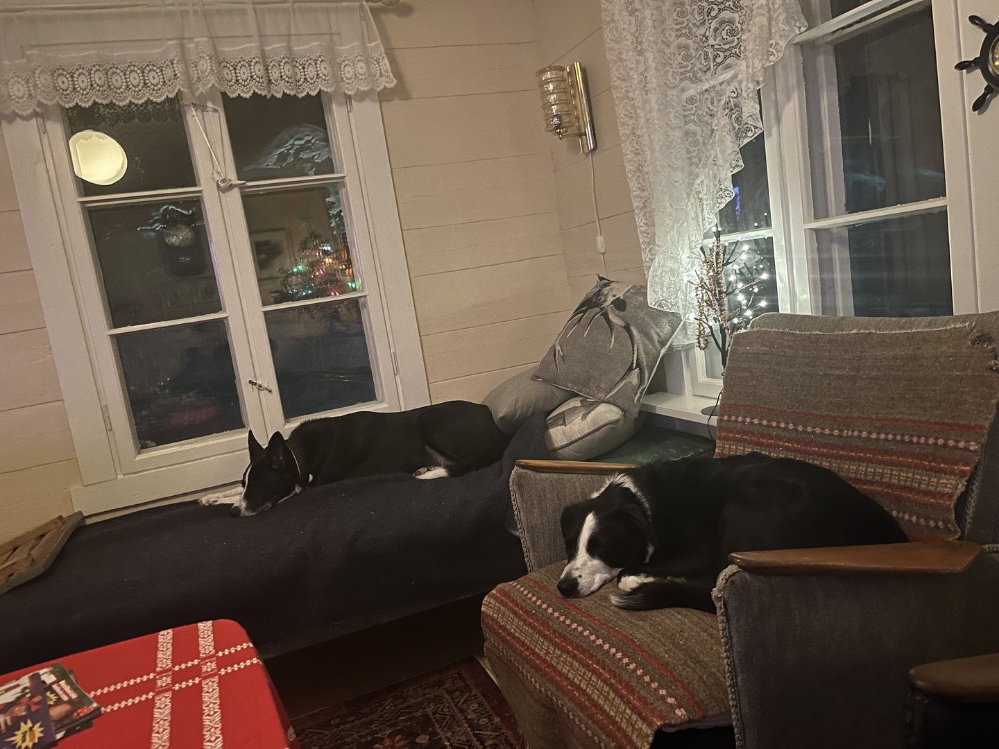 IMG_2042.jpeg