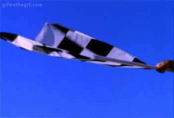 IMG_2099.gif