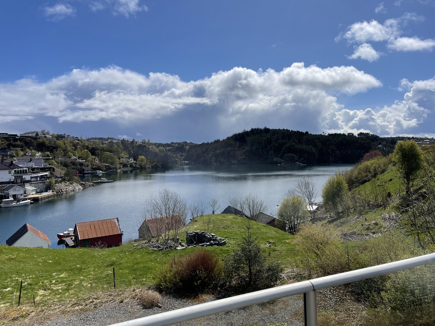 IMG_2140.jpeg